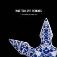 Steve Angello feat. Dougy - Wasted Love (The Cube Guys Remix)