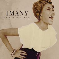 Imany - You Will Never Know (Sergey Parshutkin remix)
