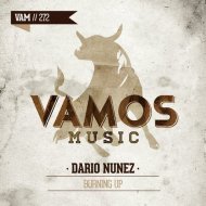 Dario Nunez - Burning Up (Original mix)
