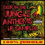 DJ Hybrid feat. Chesire Cat - Brockout (Jungle Citizens VIP) (Jungle Citizens VIP)