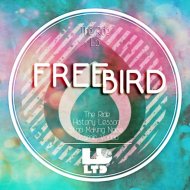 Freebird - Cosmic Vodoo (Original Mix)