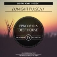 Digital Point - Night Pulse - Episode 016 ()