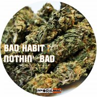 Bad Habit - Nothin\' Bad (Original mix)