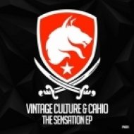 Vintage Culture - Exposed (Original Mix)
