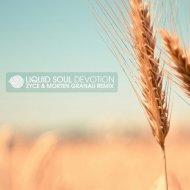 Liquid Soul - Devotion (Morten Granau & Zyce Remix)
