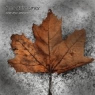 Headdreamer - Through The Other Glass (Original mix)
