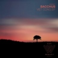 Bacchus - Picture Puzzle Pattern Door (Original Mix)