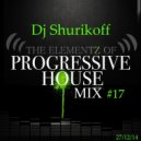 Dj Shurikoff - Progressive House Mix #17 (Dj Mixes House)
