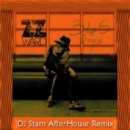 DJ Stam ft. ZZ Ward - 365 Days (DJ Stam Afterhouse Remix)