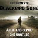 Lee DeWyze - Blackbird Song (Air.K & Cephei DnB Bootleg)