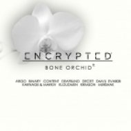 Encrypted Audio - Bone Orchid (Original mix)
