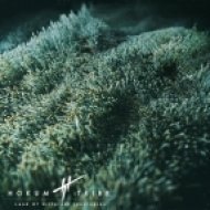 Hokum Tribe - Paper Planes (Original mix)