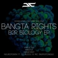 Bangta Rights - Virus 101 (Original Mix)