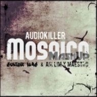 AudioKiller - Mosaico (Junior Mag & A!k L!m x Maestro MashUp)