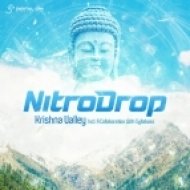 NitroDrop - You Know Us (Original Mix)