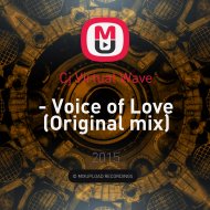 Cj Virtual Wave - Voice of Love (Original mix)