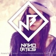 Armand Van Helden - The Punk Phenomena (Nano Bites Bootleg)