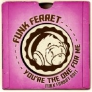D Train - You\'re The One For Me (Funk Ferret Edit)