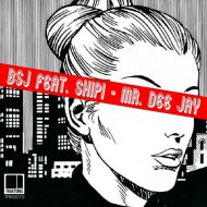 BSJ, Shipi - Mr. Dee Jay (Original Mix)
