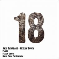 Nils Bentlage - Failed (Original Mix)