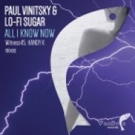 Paul Vinitsky & Lo-Fi Sugar - All I Know Now (HANDY K Dub Mix)