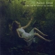 Christian Gainer - Forest Cover Vol.4 ()