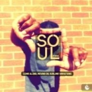 V.Soul & Deeprebel - Sublime Vibrations (Original Mix)