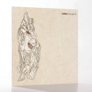 Calibre - Stranger (Original mix)