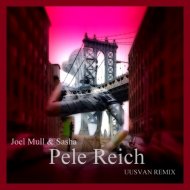 Joel Mull & Sasha - Pale Reich (UUSVAN Remix)