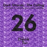 Dark Strands - The Calling (Amevicious Remix)