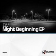 ELV - Night Feeling Egypt (Original Mix)