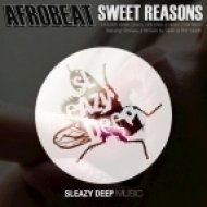 6Souther, Afrobeat feat. Tenisara - Never Look Back (Original Mix)