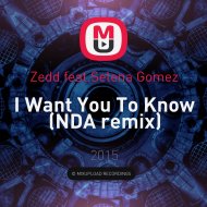 Zedd feat. Selena Gomez - I Want You To Know (NDA remix)