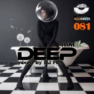 Dj Fly - I Love Deep Part 81 (Relax)