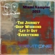 Trimtone - The Journey (Original Mix)