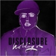 Disclosure - Holding On (feat. Gregory Porter)