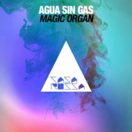Agua Sin Gas - Magic Organ (Original Mix)