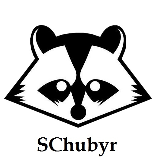 SChubyr - Луч (Original mix)