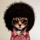 NetImports - SuperFly ()