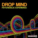 Drop Mind - Psychedelic Experience (Original Mix)