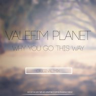 Valefim Planet - Why You Go This Way (Original Mix)
