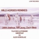 John Joshua, Zach Bletz & Tiff Lacey - Wild Horses (Yuji Ono & Atomabic Remix)