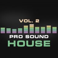 Asier Lavis - Angry People (Original Mix)