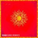 R3hab - Icarus (Black Caviar Remix)