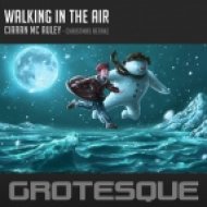 Ciaran McAuley - Walking In The Air (Original Mix)