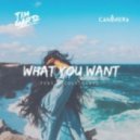 Tim Gartz Ft. Nicole Gartz - What You Want (Original Mix)