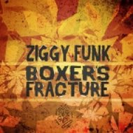 Ziggy Funk - Dont Stop (Original Mix)