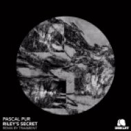 Pascal Pur - Riley\'s Secret (Original Mix)