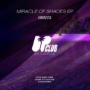 AMNNESIA - Miracle Of Shades (Original Mix)