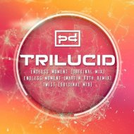Trilucid - Endless Moment (Martin Roth Remix) (Original Mix)